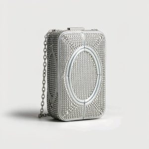 Bianca Crystal Minaudière in Silver / Champagne